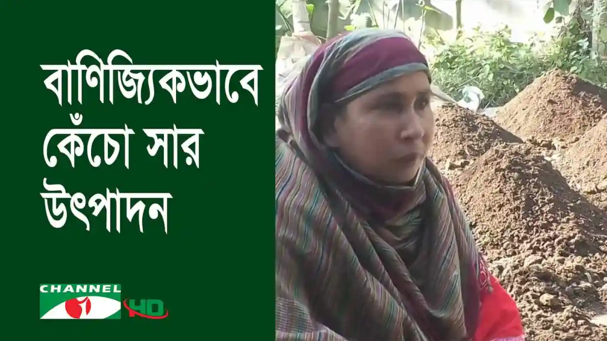 সিরাজগঞ্জে কেঁচো সার উৎপাদন প্রকল্পের নারী শ্রমিক. Channel i News - চ্যানেল আই নিউজ