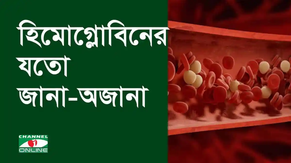 রক্তে হিমোগ্লোবিনের গঠন ও এর ভূমিকা বোঝানো ছবি. Channel i News - চ্যানেল আই নিউজ