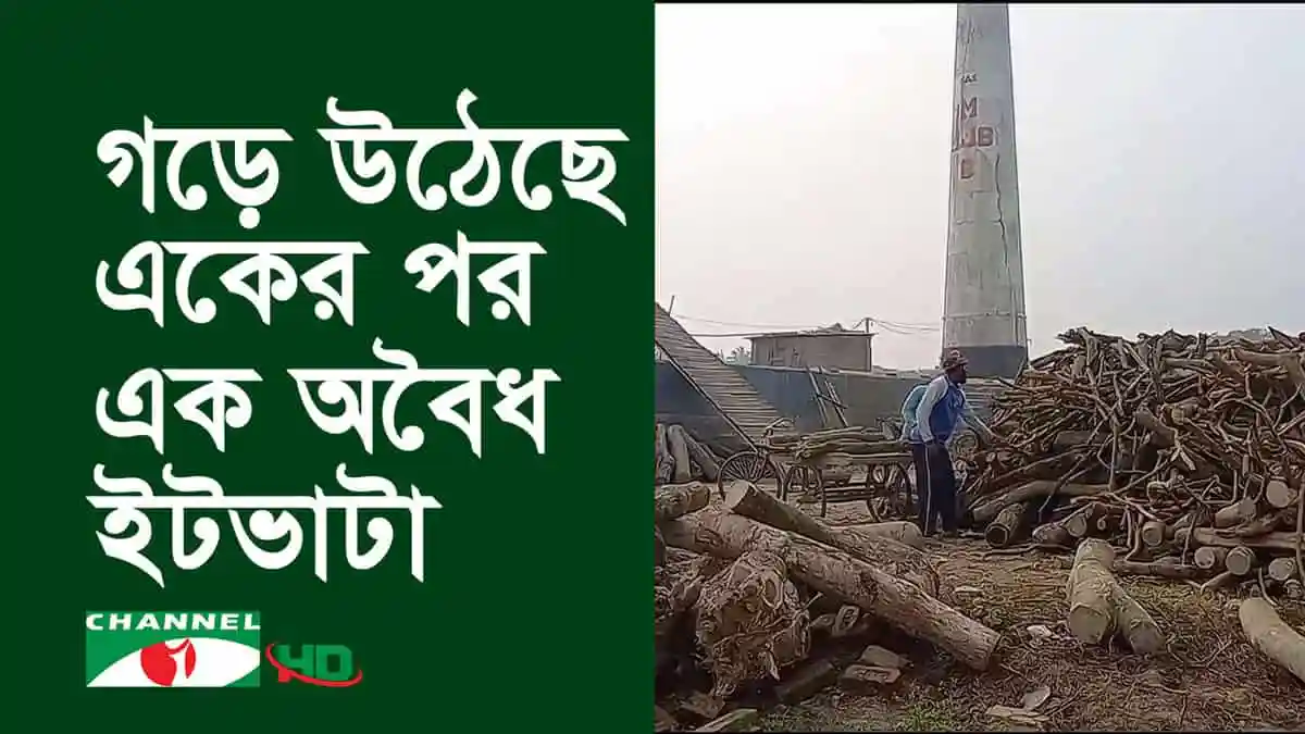 বৃদ্ধি পেয়েছে অবৈধ ইটভাটা, রাজবাড়ীর বিভিন্ন এলাকায়. Channel i News - চ্যানেল আই নিউজ