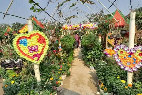 গদখালী ফুলের রাজ্য, সুন্দর ফুলের গাছ ও সাজসজ্জা. Channel i News - চ্যানেল আই নিউজ