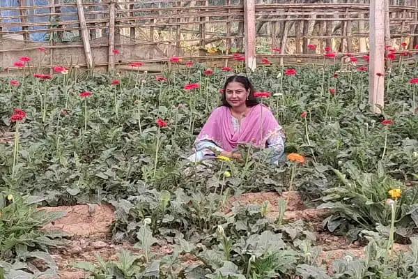 গদখালী ফুলের বাগানে একজন নারী ফুলের মাঝে বসে আছেন. Channel i News - চ্যানেল আই নিউজ