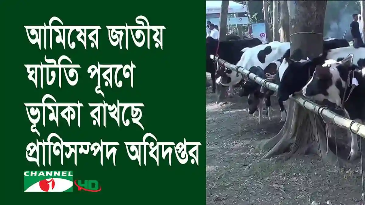প্রাণিসম্পদ অধিদপ্তর ও গবাদি পশু, দুধ ও মাংসের জন্য গরু ও ছাগল দেখানো. Channel i News - চ্যানেল আই নিউজ