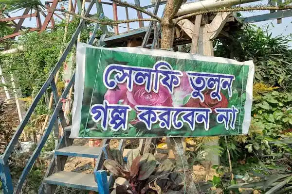 গাছের জন্য অনুমতি ছাড়া সেলফি তোলা নিষেধ. Channel i News - চ্যানেল আই নিউজ