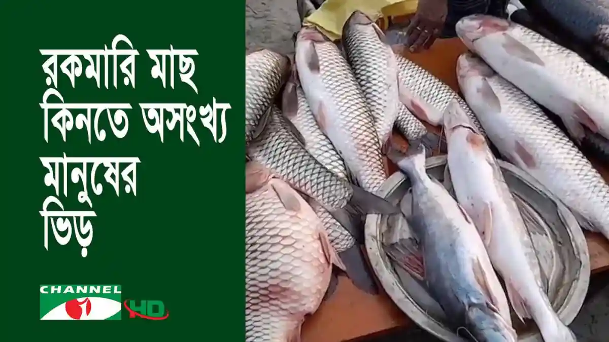 হবিগঞ্জে পুরনো মাছের মেলা, বিভিন্ন ধরনের মাছ বিক্রি হচ্ছে. Channel i News - চ্যানেল আই নিউজ