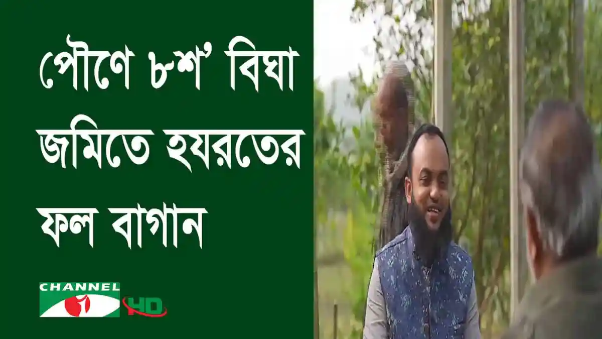 শেরপুরের কৃষকরা কৃষি সাফল্য উদযাপন করছেন. Channel i News - চ্যানেল আই নিউজ