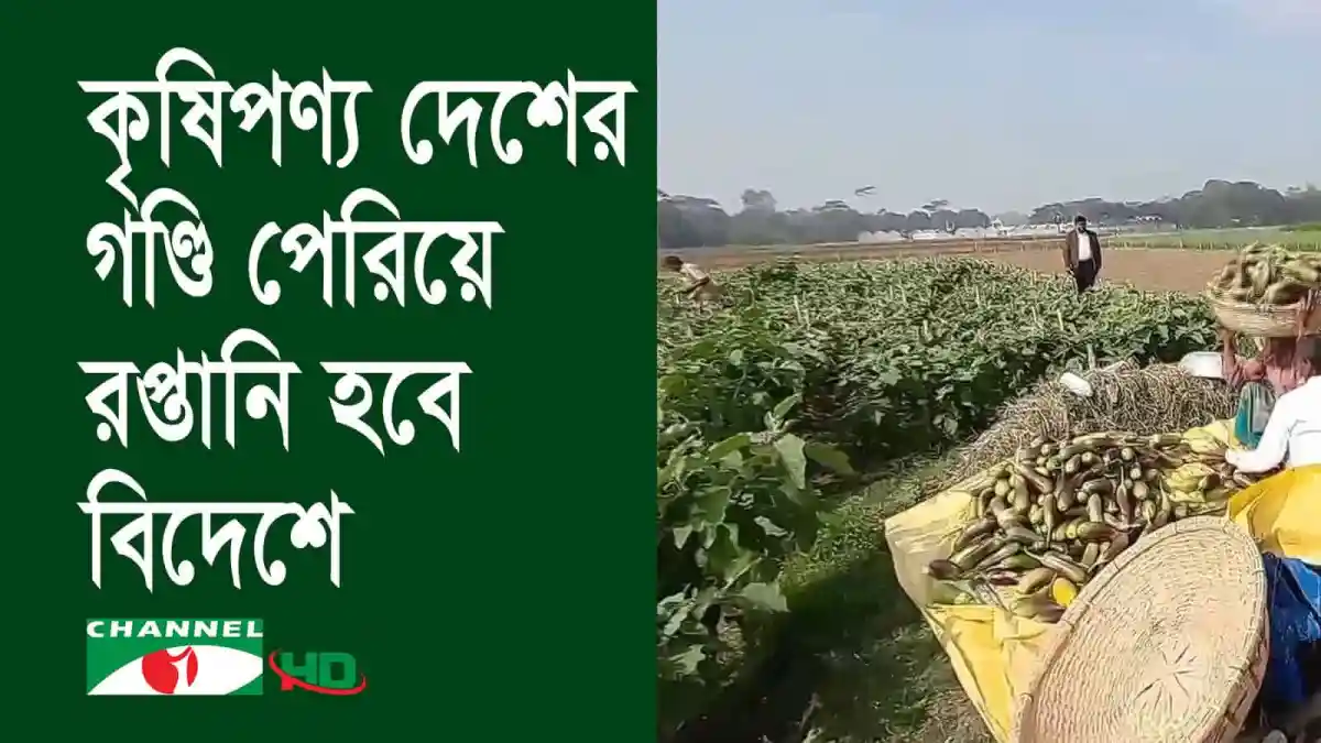 পদ্মা সেতু চালু হওয়ায় শরীয়তপুরে সবজি ও ফলের সোনালী অগ্রযাত্রা. Channel i News - চ্যানেল আই নিউজ
