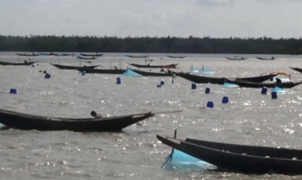সাগরে চিংড়ি রেণু আহরণের জন্য নৌকা ও জাল স্থাপন।. Channel i News - চ্যানেল আই নিউজ