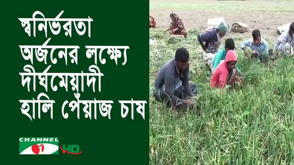 স্বনির্ভরতা অর্জনের লক্ষ্যেই দীর্ঘমেয়াদী হালি পেঁয়াজ চাষ বাড়ানোর পরামর্শ
