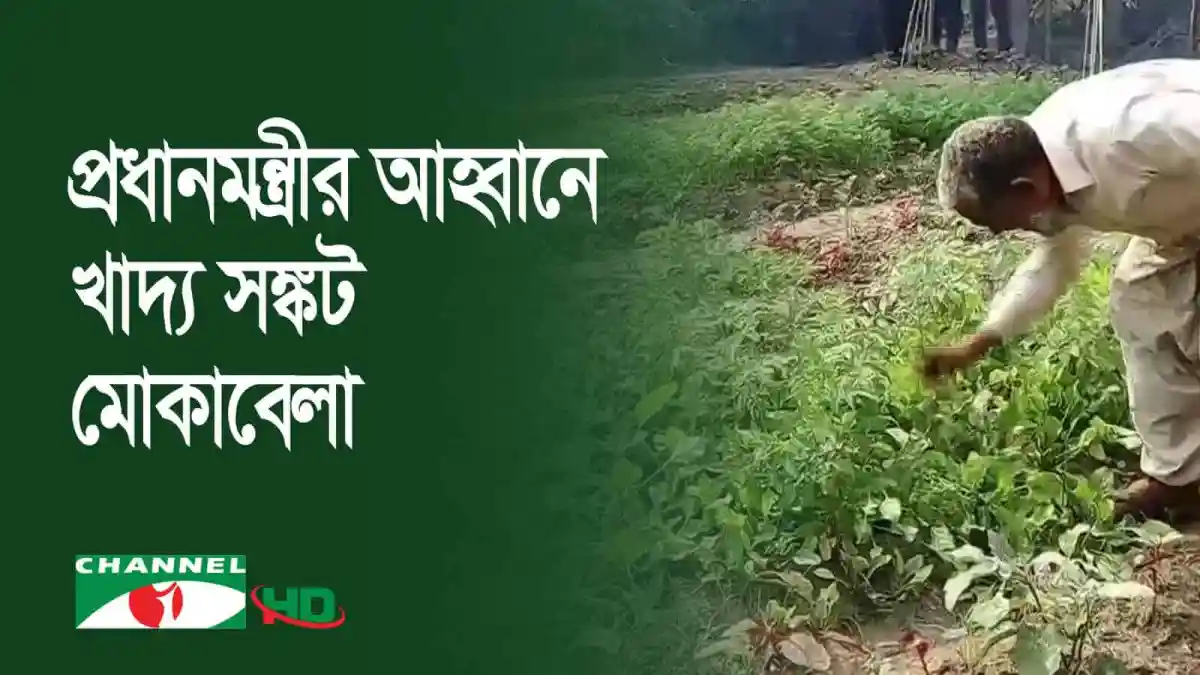 বাংলাদেশে অনাবাদি জমিতে চাষাবাদ শুরু, কৃষকদের উদ্যোগ. Channel i News - চ্যানেল আই নিউজ