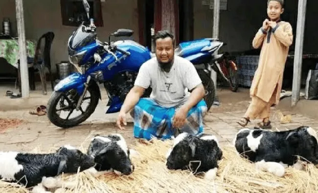 একজন ব্যক্তি চারটি বাছুরের সঙ্গে বসে আছেন, পাশে একটি মোটরসাইকেল রয়েছে. Channel i News - চ্যানেল আই নিউজ