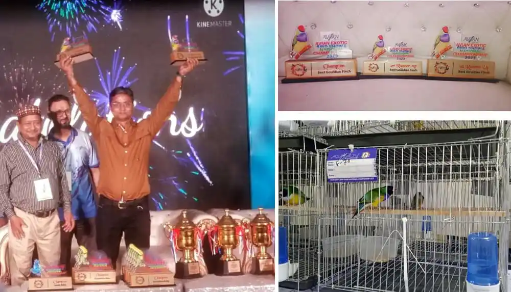 নাঈম ফিরোজের পোষা তিন পাখি পুরস্কার গ্রহণ করছে. Channel i News - চ্যানেল আই নিউজ