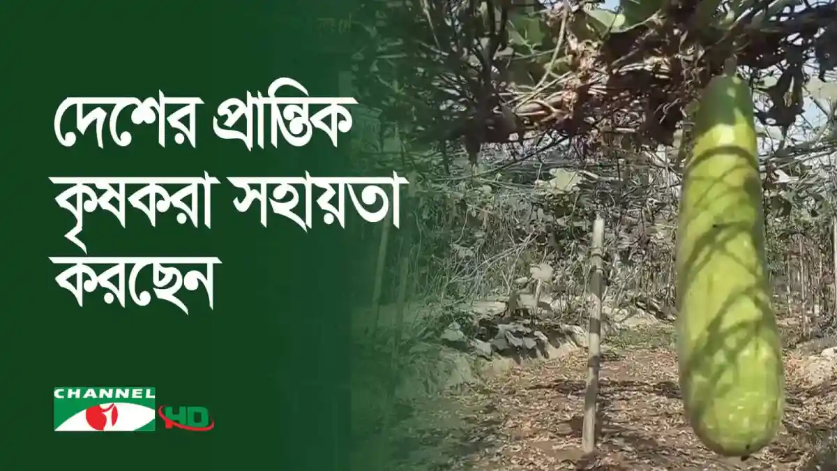 বাংলাদেশে রেলওয়ের পরিত্যক্ত জমিতে চাষাবাদের উদ্যোগ।. Channel i News - চ্যানেল আই নিউজ