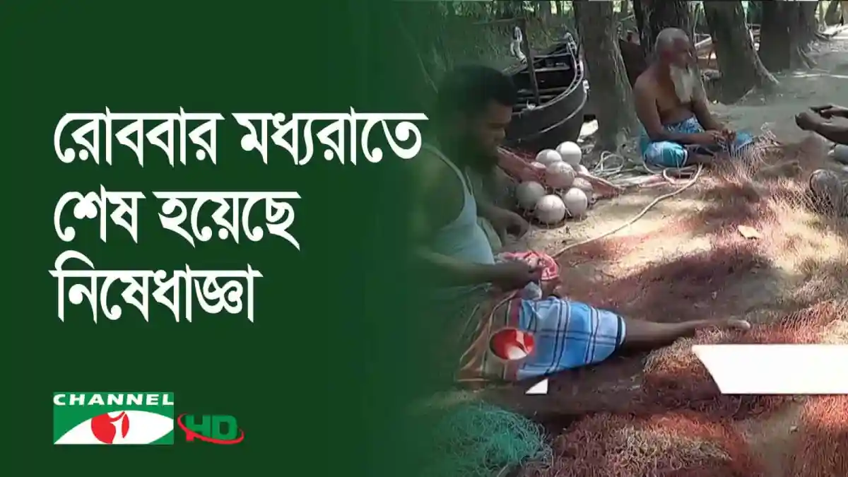 নিষেধাজ্ঞা শেষে ইলিশ ধরা শুরু, জেলেরা মাছ ধরার কাজে ব্যস্ত. Channel i News - চ্যানেল আই নিউজ