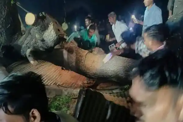 গাছের নিচে পড়ে নিহত ৭, আহত ও উদ্ধারকারীরা ঘটনাস্থলে. Channel i News - চ্যানেল আই নিউজ