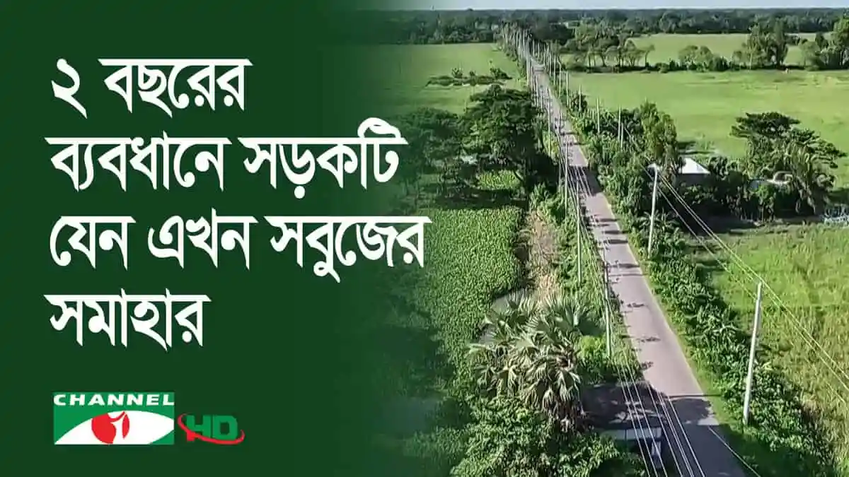 সবুজের হাতছানি দিয়ে দীর্ঘ সড়কটি গ্রামীণ পরিবেশের ছবি. Channel i News - চ্যানেল আই নিউজ