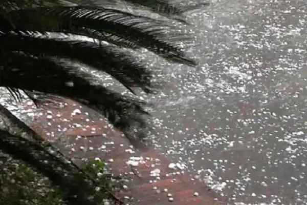বৃষ্টির পানিতে ভিজছে রাস্তা ও গাছ, দেশের বিভিন্ন স্থানে আজ বৃষ্টি হতে পারে. Channel i News - চ্যানেল আই নিউজ