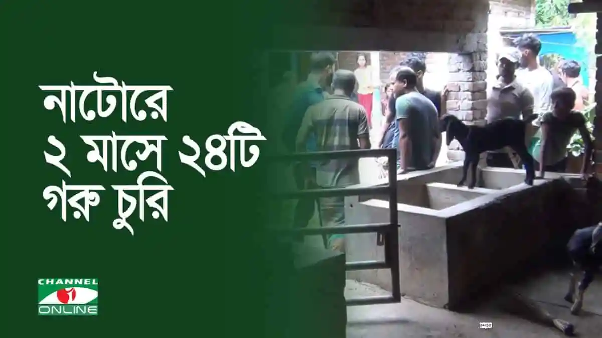গরু চুরির ঘটনায় গ্রামে মানুষের ভিড়, পুলিশ ও স্থানীয়রা উপস্থিত. Channel i News - চ্যানেল আই নিউজ