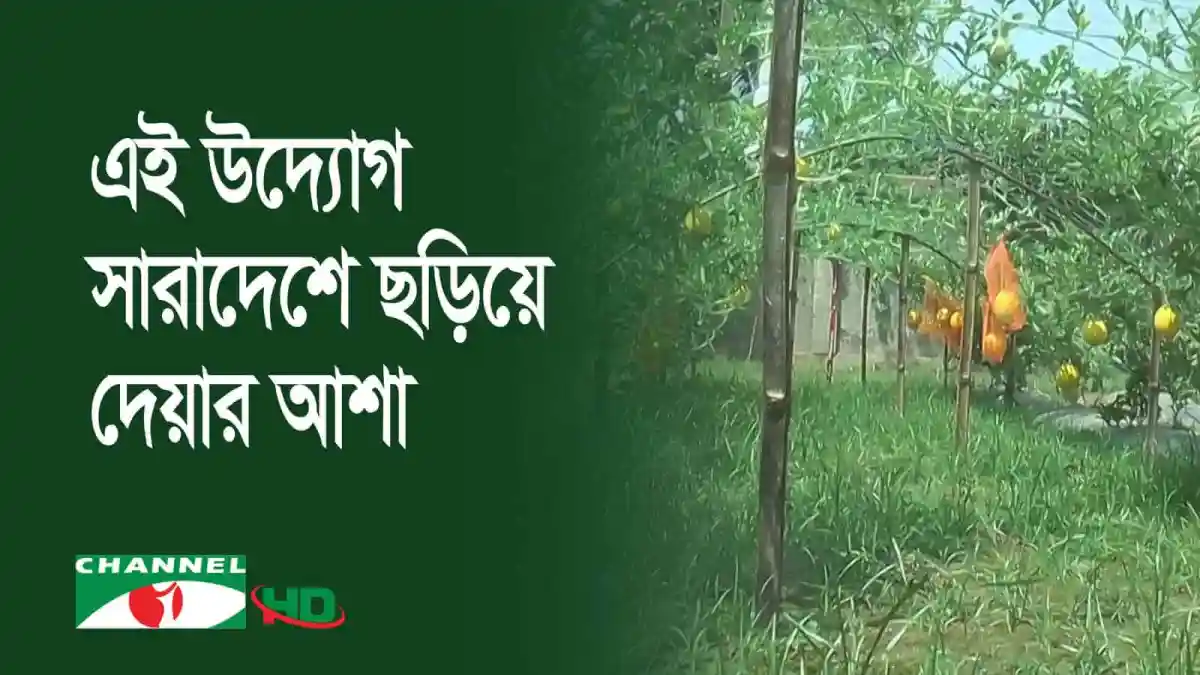 পুলিশের পরিত্যক্ত জমিতে কৃষি খামার, সবজি ও ফলের গাছ লাগানো. Channel i News - চ্যানেল আই নিউজ