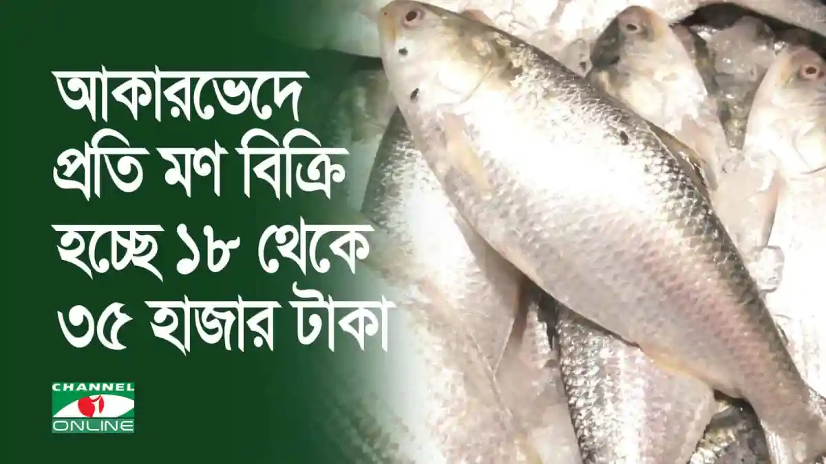 অকারণে প্রতি মন মাছ বিক্রি হচ্ছে ১৮ থেকে ৩৫ হাজার টাকা. Channel i News - চ্যানেল আই নিউজ