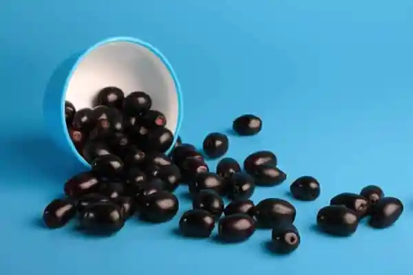 কালো জ্যামুনের ছবি, চ্যানেল আই অনলাইন সংবাদ পোর্টাল. Channel i News - চ্যানেল আই নিউজ