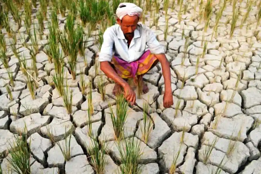 খরা পরিস্থিতিতে কৃষক শুকনো মাটিতে ধান চাষ করছেন. Channel i News - চ্যানেল আই নিউজ