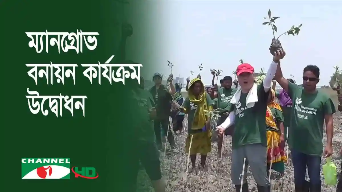 মানগ্রোভ বনায়ন কর্মসূচির উদ্বোধন, দাকোপ, খুলনা. Channel i News - চ্যানেল আই নিউজ