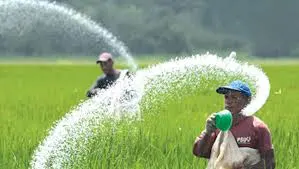 বাংলাদেশের কৃষকরা ধানক্ষেতের মধ্যে পানির ফোয়ারা দিয়ে সেচ দিচ্ছেন. Channel i News - চ্যানেল আই নিউজ