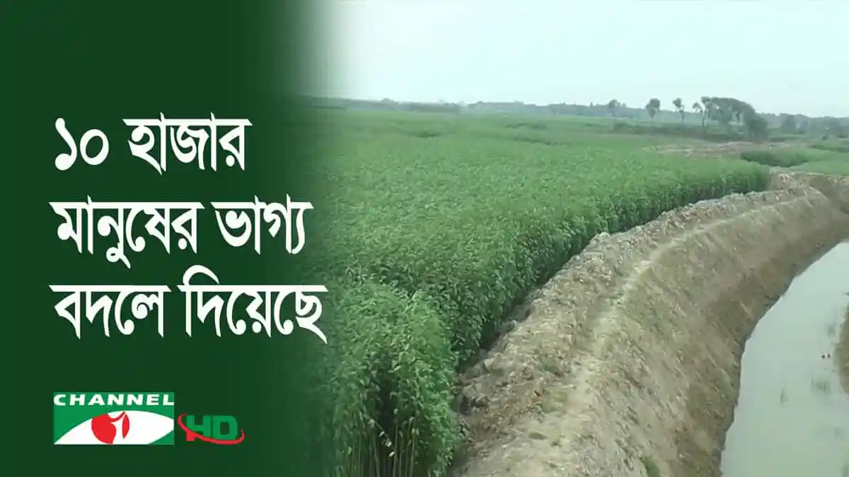 -4 Channel i News - চ্যানেল আই নিউজ