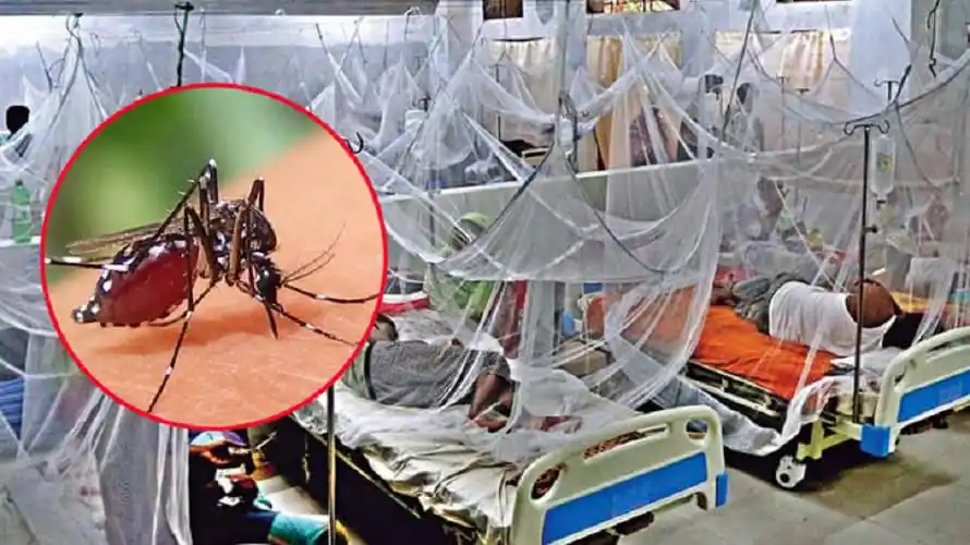 হাসপাতালে ডেঙ্গু রোগীদের জন্য নিবিড় পরিচর্যা ইউনিট. Channel i News - চ্যানেল আই নিউজ