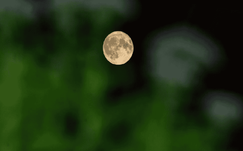 চাটগাঁইয়া পাথর ভর্তা, লাল মরিচ ও কাঁচা পেঁয়াজ দিয়ে সাজানো. Channel i News - চ্যানেল আই নিউজ