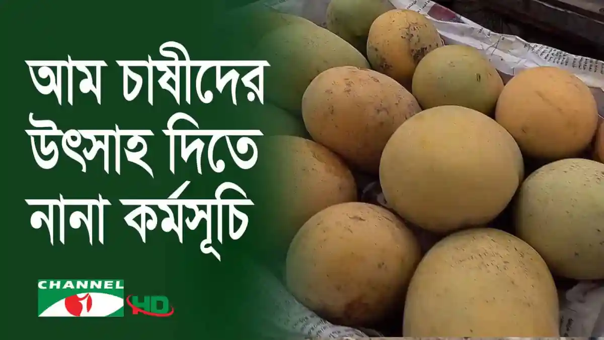 আম চাষীদের উৎপাদন বৃদ্ধি নিয়ে আলোচনা. Channel i News - চ্যানেল আই নিউজ