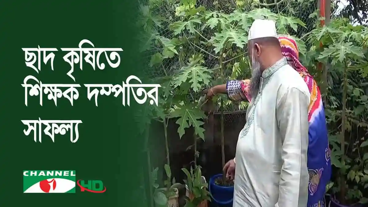 -4 Channel i News - চ্যানেল আই নিউজ