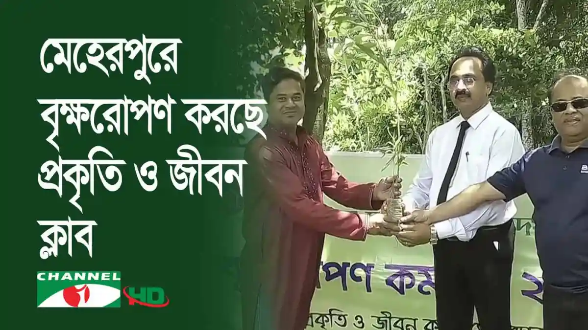 মেহেরপুরে বৃক্ষরোপণ করছে প্রকৃতি ও জীবন ক্লাবের সদস্যরা. Channel i News - চ্যানেল আই নিউজ