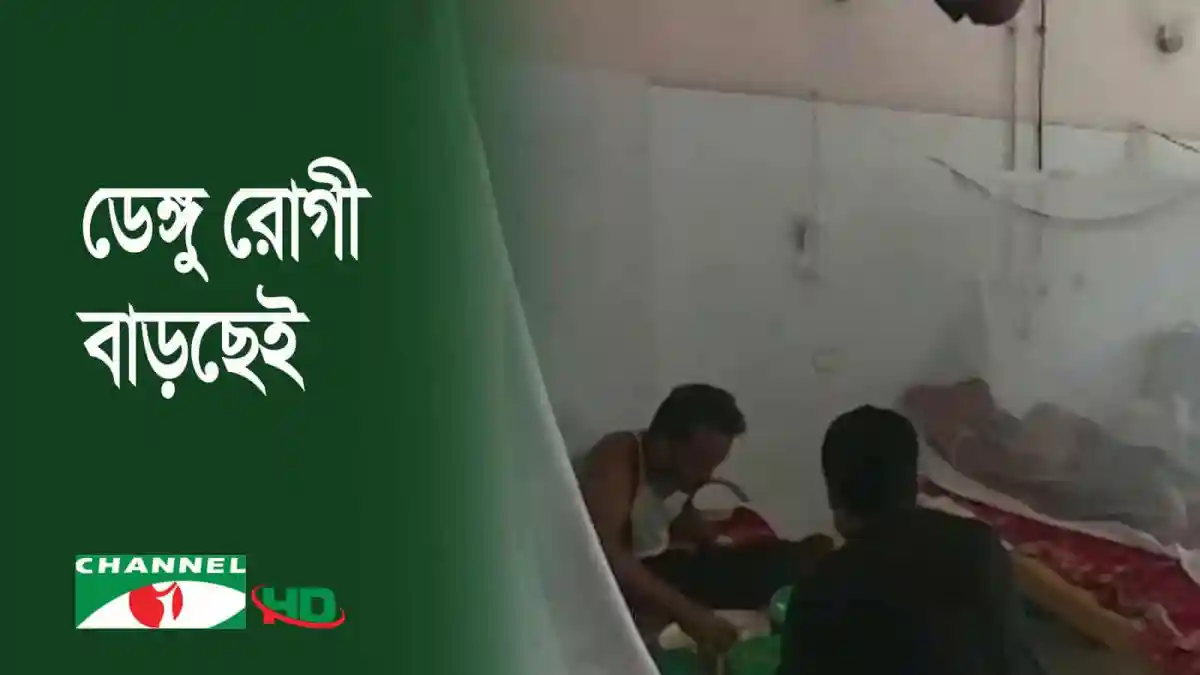 শেরপুর-টাঙ্গাইলে ডেঙ্গু রোগী ভর্তির সংখ্যা বাড়ছে, হাসপাতালে রোগীর চাপ বৃদ্ধি. Channel i News - চ্যানেল আই নিউজ