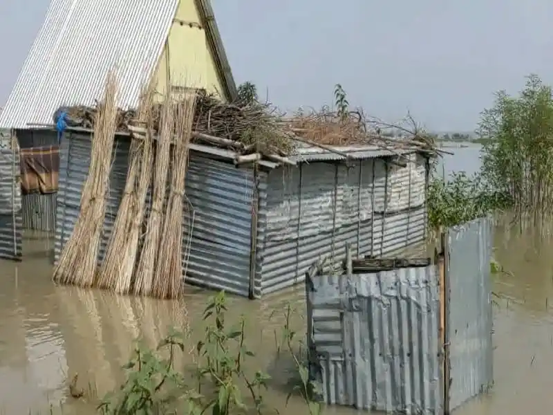 বন্যার কারণে চরাঞ্চলের ঘরবাড়ি পানির নিচে ডুবে গেছে. Channel i News - চ্যানেল আই নিউজ
