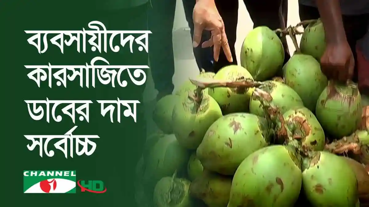বাজারে কাঁচা কলার ঝুড়ি, কৃষকের সংগ্রহের ছবি।. Channel i News - চ্যানেল আই নিউজ