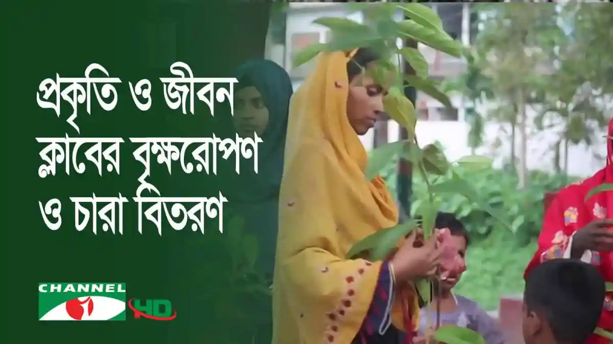 প্রকৃতি ও জীবন ক্লাবের বৃক্ষরোপণ ও চারা বিতরণ কর্মসূচি. Channel i News - চ্যানেল আই নিউজ