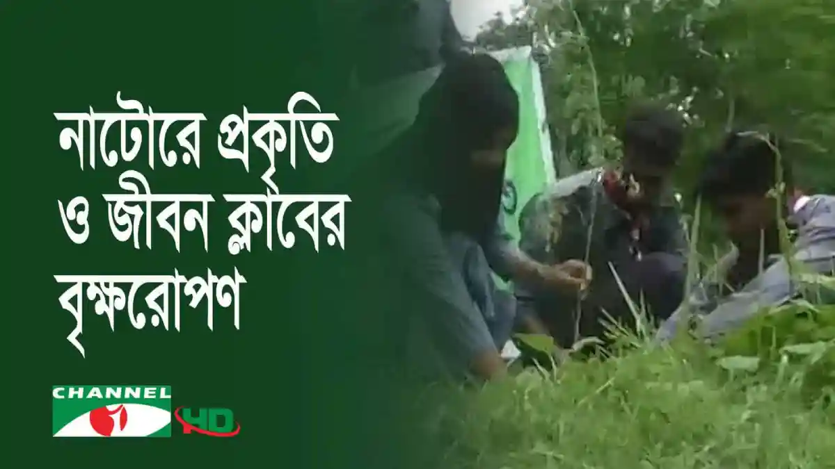 নাটোরে প্রকৃতি ও জীবন ক্লাবের বৃক্ষরোপণ কর্মসূচি. Channel i News - চ্যানেল আই নিউজ