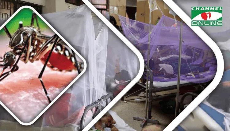 ডেঙ্গু আক্রান্ত রোগীদের চিকিৎসা চলমান হাসপাতালের দৃশ্য. Channel i News - চ্যানেল আই নিউজ