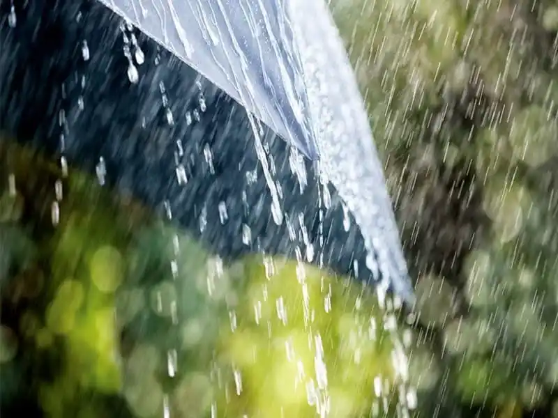 বৃষ্টির মধ্যে ছাতা ব্যবহার করে মানুষ, দেশের বিভিন্ন স্থানে বৃষ্টিপাতের পূর্বাভাস. Channel i News - চ্যানেল আই নিউজ