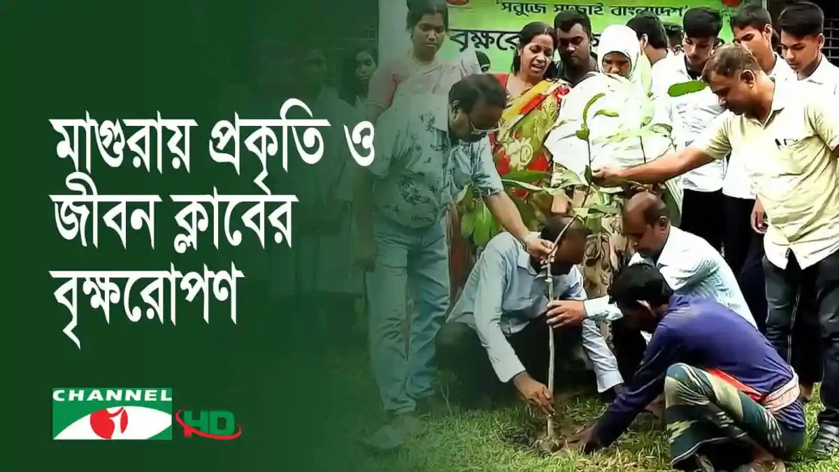 মাগুরায় প্রকৃতি ও জীবন ক্লাবের বৃক্ষরোপণ কর্মসূচি. Channel i News - চ্যানেল আই নিউজ