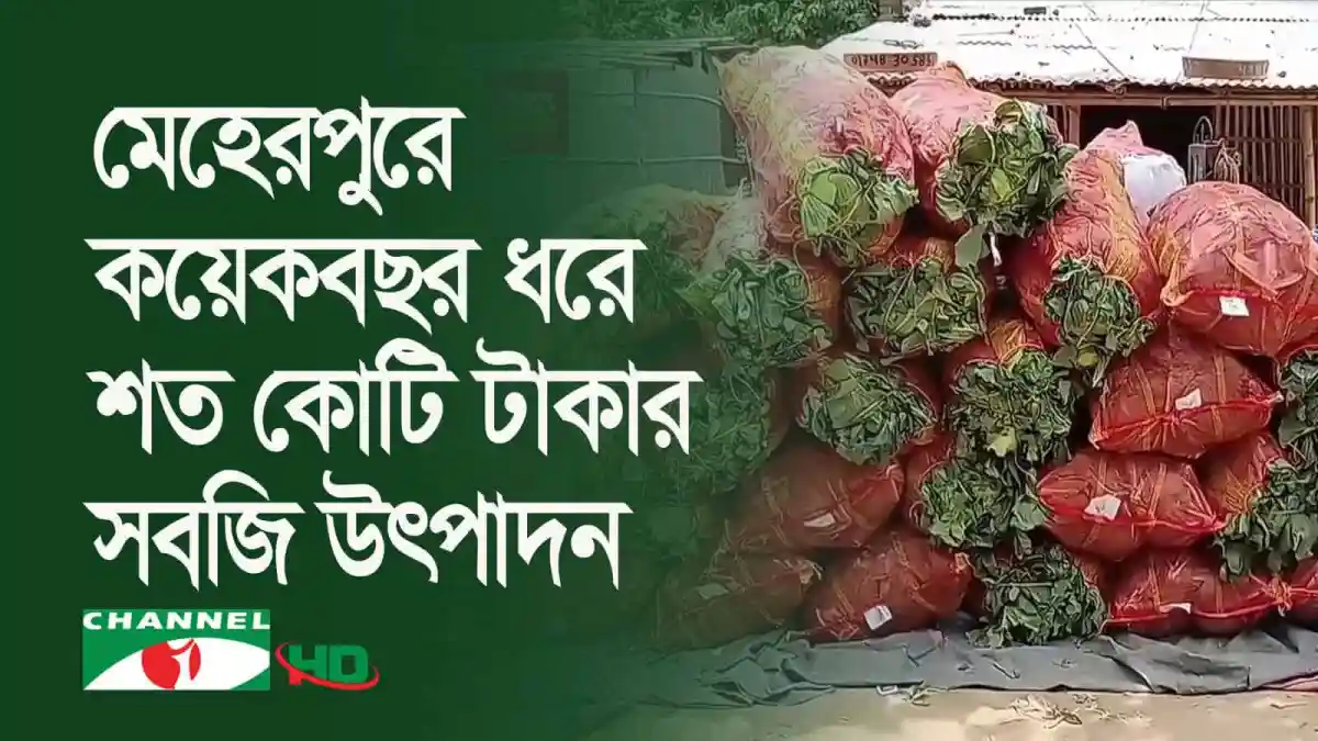 গাংনী উপজেলায় সবজি চাষের জন্য প্যাকেটজাত সবজি. Channel i News - চ্যানেল আই নিউজ