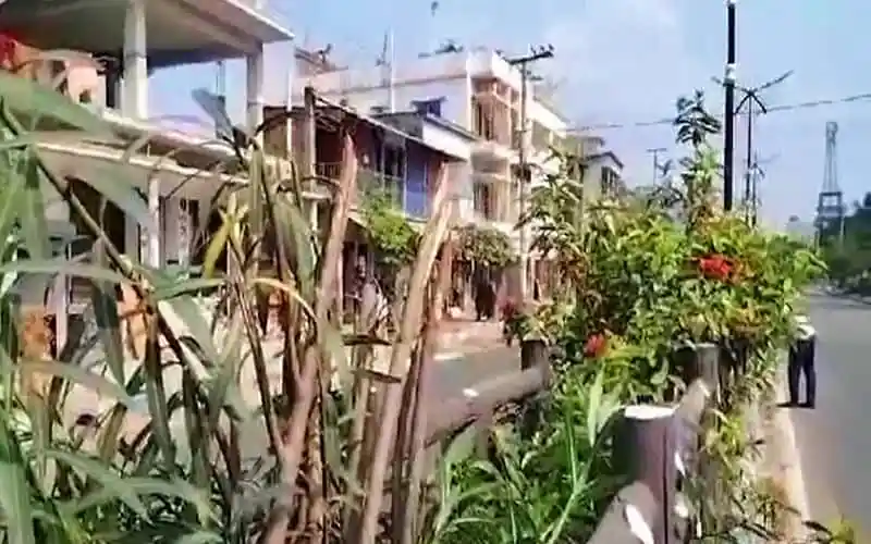 রাজশাহীতে সড়ক বিভাজনের গাছ কেটে ফেলেছে দুষ্কৃতকারীরা।. Channel i News - চ্যানেল আই নিউজ
