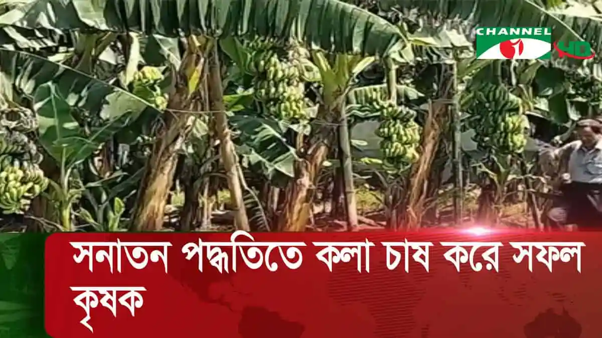 -4 Channel i News - চ্যানেল আই নিউজ