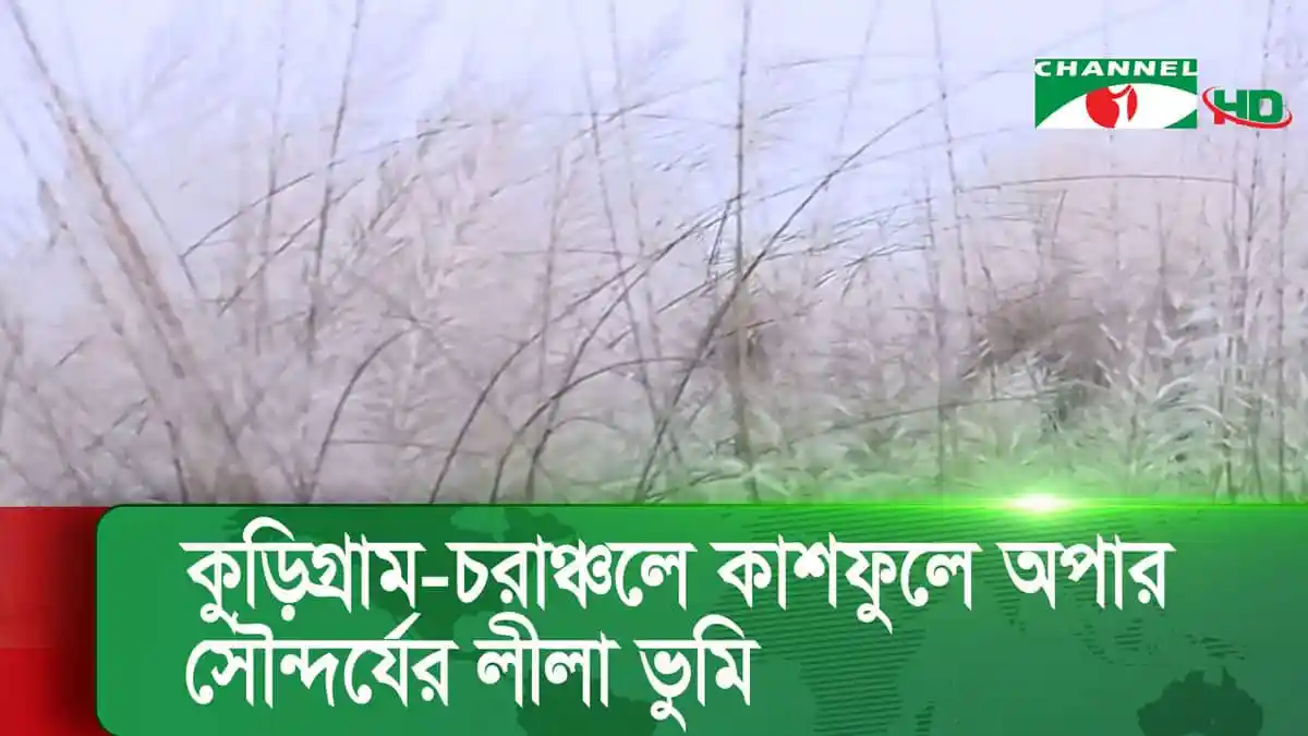 -4 Channel i News - চ্যানেল আই নিউজ