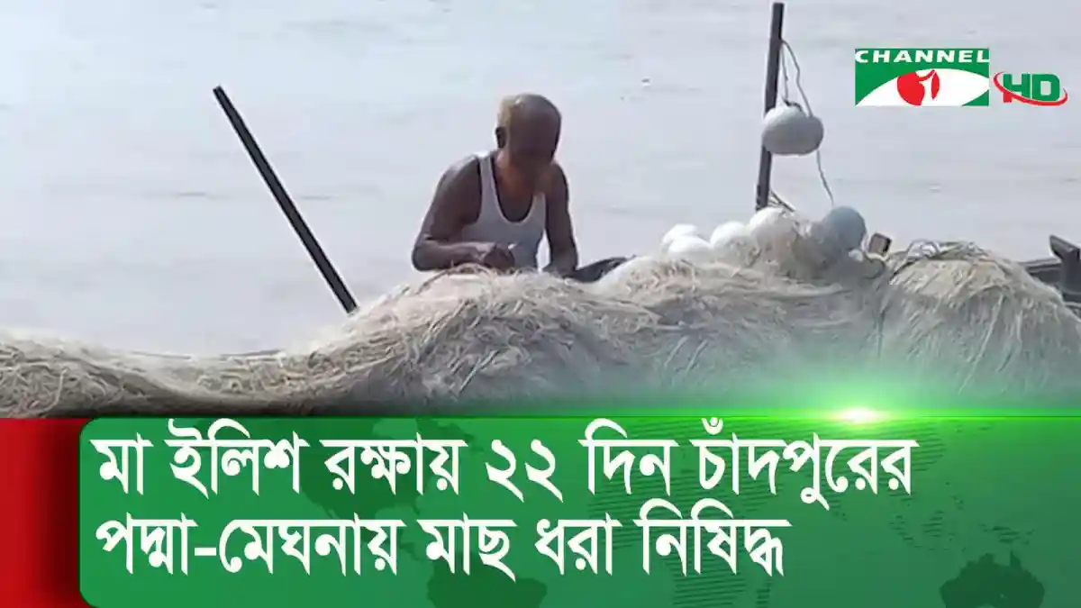 চাঁদপুরের পদ্মা-মেঘনায় মা ইলিশ রক্ষায় ২২ দিন মাছ ধরা নিষিদ্ধের কার্যক্রম. Channel i News - চ্যানেল আই নিউজ
