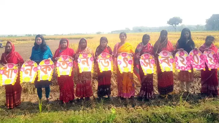 মাগুরায় ধান কাটা উৎসবের নারী শ্রমিকরা একসঙ্গে কাজ করছে. Channel i News - চ্যানেল আই নিউজ