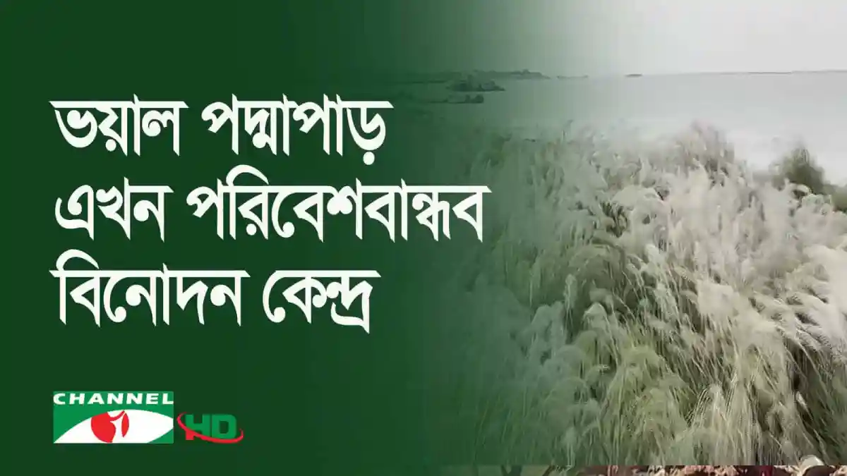 পদ্মা নদীর ভাঙনপ্রবণ পাড়ে জলপ্রপাত ও নদীর পানি. Channel i News - চ্যানেল আই নিউজ