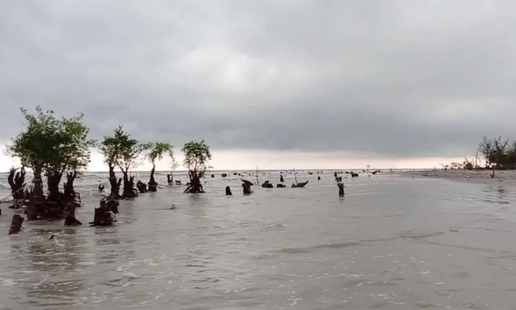 বৈরী আবহাওয়ায় পটুয়াখালী উপকূলের জলাবদ্ধতা ও ক্ষতিগ্রস্ত পরিবেশ. Channel i News - চ্যানেল আই নিউজ