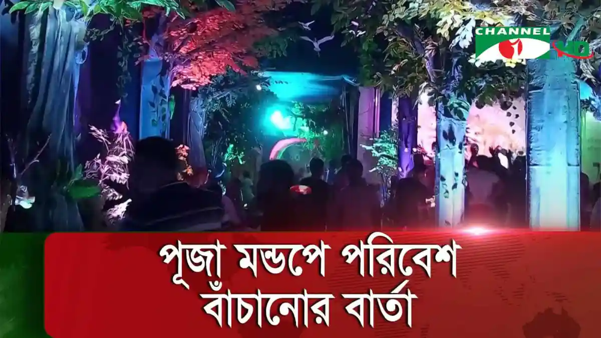 নাইট ক্লাবের আলো ও সাজসজ্জা, দর্শকরা উপভোগ করছেন. Channel i News - চ্যানেল আই নিউজ